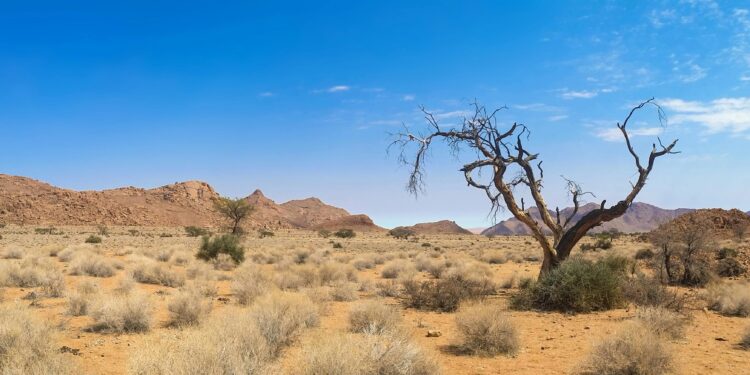 Sahel States Form Alliance, Sever Ties with ECOWAS