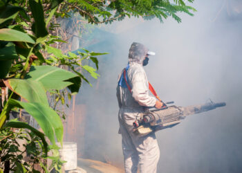 Rising Threat of Dengue Fever in the U.S. as Cases Increase Across States