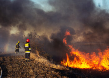Deer Springs Fire Expands Rapidly, Becomes Utah’s Largest Wildfire of 2024