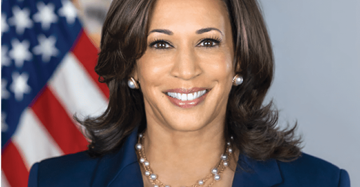 Kamala Harris Delivers Forceful Speech at DNC, Targeting Trump and Highlighting Patriotism