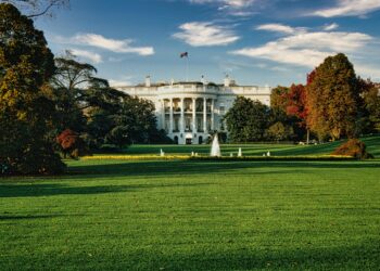 Trump Appoints Elon Musk and Vivek Ramaswamy to Lead Department of Government Efficiency