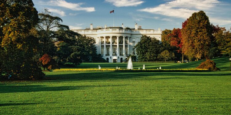 Trump Appoints Elon Musk and Vivek Ramaswamy to Lead Department of Government Efficiency