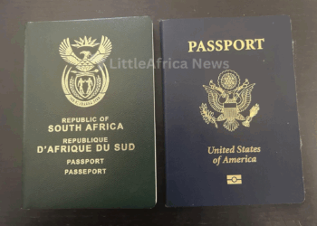 Constitutional Court Strikes Down Law Stripping South Africans of Citizenship for Acquiring Another Nationality